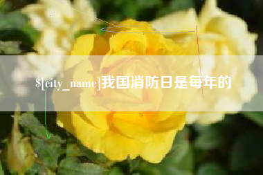 钟祥我国消防日是每年的