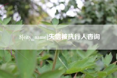 钟祥失信被执行人杳询