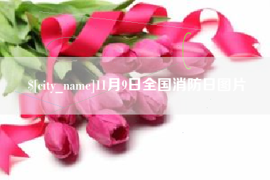 钟祥11月9日全国消防日图片