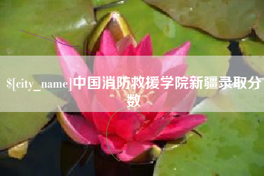 钟祥中国消防救援学院新疆录取分数