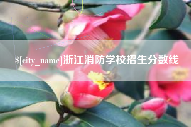 钟祥浙江消防学校招生分数线