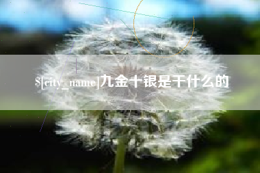 钟祥九金十银是干什么的