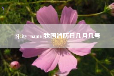 钟祥我国消防日几月几号