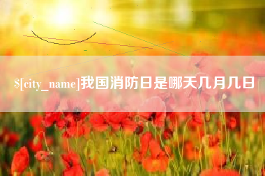 钟祥我国消防日是哪天几月几日