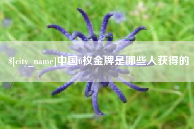 钟祥中国6枚金牌是哪些人获得的
