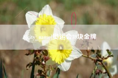 钟祥奥运会39块金牌