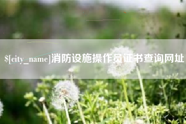 钟祥消防设施操作员证书查询网址