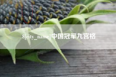 钟祥中国冠军九宫格