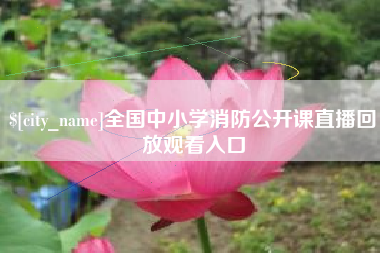 钟祥全国中小学消防公开课直播回放观看入口