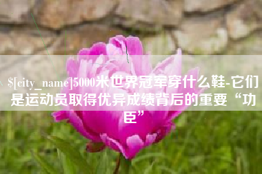 钟祥5000米世界冠军穿什么鞋-它们是运动员取得优异成绩背后的重要“功臣”