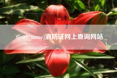 钟祥消防证网上查询网站