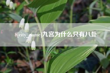 钟祥九宫为什么只有八卦