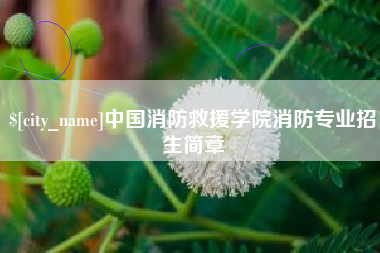 钟祥中国消防救援学院消防专业招生简章
