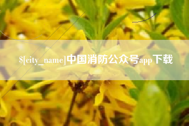 钟祥中国消防公众号app下载