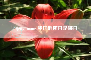钟祥我国消防日是哪日