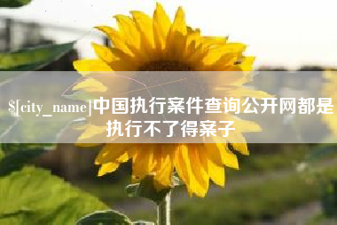 钟祥中国执行案件查询公开网都是执行不了得案子