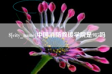 钟祥中国消防救援学院是985吗
