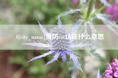 钟祥消防ccc认证什么意思