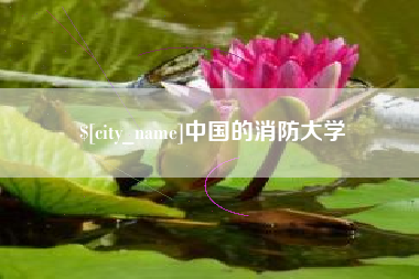 钟祥中国的消防大学