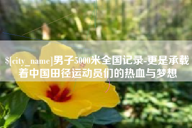 钟祥男子5000米全国记录-更是承载着中国田径运动员们的热血与梦想