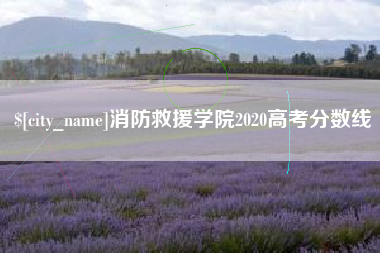 钟祥消防救援学院2020高考分数线
