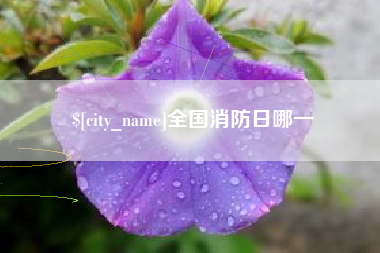 钟祥全国消防日哪一