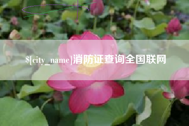 钟祥消防证查询全国联网