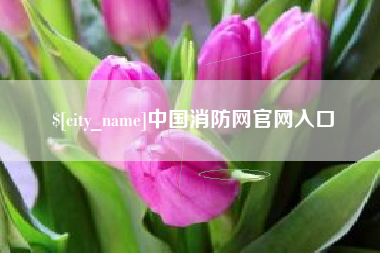 钟祥中国消防网官网入口
