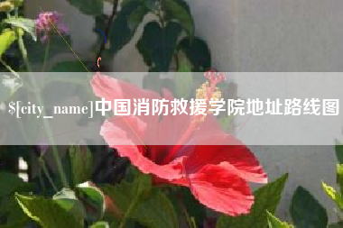 钟祥中国消防救援学院地址路线图