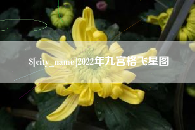 钟祥2022年九宫格飞星图
