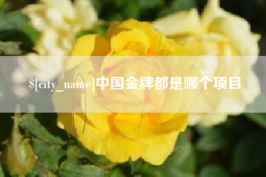 钟祥中国金牌都是哪个项目