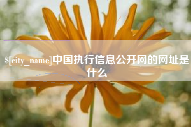 钟祥中国执行信息公开网的网址是什么