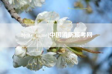 钟祥中国消防报考网