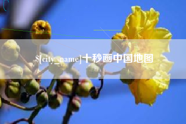 钟祥十秒画中国地图