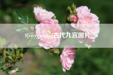 钟祥古代九宫图片