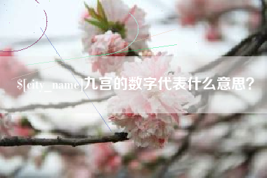 钟祥九宫的数字代表什么意思？