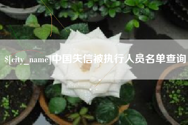钟祥中国失信被执行人员名单查询