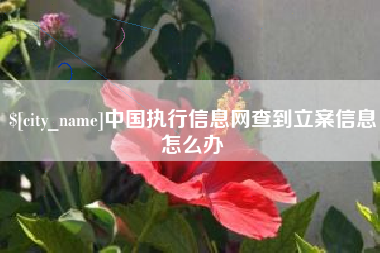 钟祥中国执行信息网查到立案信息怎么办