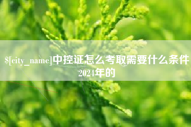 钟祥中控证怎么考取需要什么条件2024年的
