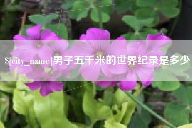 钟祥男子五千米的世界纪录是多少