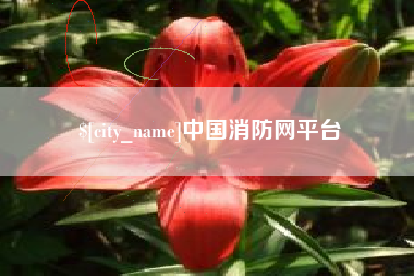 钟祥中国消防网平台