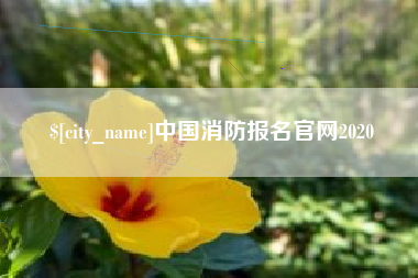钟祥中国消防报名官网2020