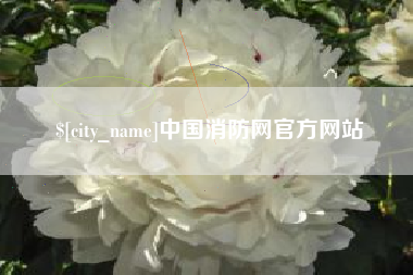 钟祥中国消防网官方网站