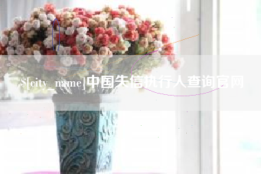 钟祥中国失信执行人查询官网