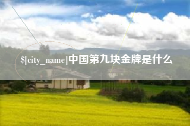 钟祥中国第九块金牌是什么