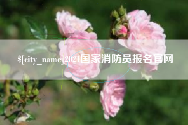 钟祥2021国家消防员报名官网