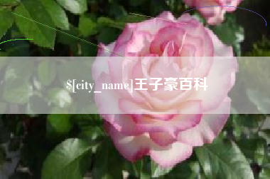 钟祥王子豪百科