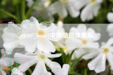 钟祥中国地图像素版