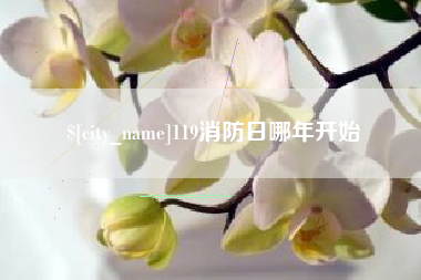 钟祥119消防日哪年开始
