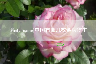 钟祥中国有哪几枚金牌得主